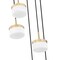 Z-Lite Renaud Modern Gold 5 Light Chandelier 827P6-5R-MGLD-LED - alternate 4