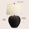 Jonathan Y Alaro 24.5" Farmhouse Coastal Water Hyacinth Basket LED Table Lamp, Black JYL6501D - alternate 3