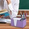 Acrimet Desktop Organizer Pencil, Pen, Paper, Clip, Caddy Holder (Plastic) (Paper Included) (Purple Color) 954.LO - alternate 3