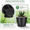 Lifemaster Plant Pots with Multi Drainage Holes, Sturdy Plastic, Stackable, Indoor/Outdoor, Black, 5PK LMFLOPBLK55 - alternate 5