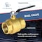 Clean Resources Standard Ball Valves, MALE to FEMALE, 1 in MNPT x 1 in FNPT, 600 PSI CWP BV-MF-100 - alternate 2