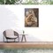 Trademark Fine Art Outdoor Canvas Art - David Stribbling 'Maincoon cat' Wall Art for Patios, or Gardens GRL01506-OC3547WR - alternate 5