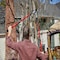 Corona Tools EasyCUT Extendable Bypass Lopper, 21 in. to 33 in., 1-1/2 in. Cut Capacity FL 3470 - alternate 4