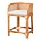 Bali & Pari Aria Natural Rattan Counter Stool 260-14338-ZORO - alternate 1