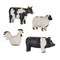 Homeroots Set of Four Black and White Farm Animal Polyresin Tabletop Candleholders, 4PK 517644 - alternate 1