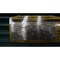 Baldor-Reliance RELIANCE SUPER-E 841XL MOTOR 324T 40HP 1770RPM 460V-AC 3PH ECP84110T-4 - alternate 3