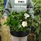 Ipower 5-Gallon Grow Bag Thickened Nonwoven Fabric Pots, Black w/ Green Stitch Sewing, 5PK GLGROWBAG5X5EGRN - alternate 5