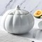Martha Stewart 5 Quart Fine Ceramic Pumpkin Soup Tureen With Lid and Ladle in White 130338.03R - alternate 4