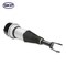 Skyward Automotive Products Suspension Strut Assembly,  SKAS021 - alternate 1