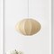 Jonathan Y Kira 18.38" 1-Light Scandinavian Japandi Adjustable Lantern Metal w/Ribbed Cocoon UFO Saucer Shade L JYL4208A - alternate 5