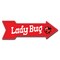 Signmission Ladybug Arrow Decal Funny Home Decor 30in Wide D-A-10-999784 - alternate 1