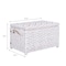 Happimess Jacob 31.5in Hand-Woven Wicker Storage Trunk, Distressed White HPM9003E - alternate 5