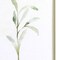 Homeroots Set Of Two Olive Leaves White Framed Print Wall Art, 2PK 521533 - alternate 3
