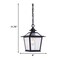 Homeroots Matte Black Terrarium Shape Hanging Light 398031 - alternate 3