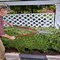 Corona Tools SerratedBLADE Hedge Shears, 8-1/2 in. Blades, 21 in. Handles AH 6950 - alternate 2