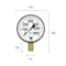 Zenport Dry Air Pressure Gauge, 600 PSI DPG600 - alternate 3