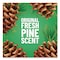 Pine-Sol Cleaner/Disinfectant, 20 oz Bottle, Pine, 8 PK 60149CT - alternate 6