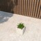 Leisuremod Fern Fiberstone & MGO Clay Square Fern Planter - Weather Resistant, Indoor/Outdoor with Drainage FLP9W - alternate 3