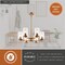 Vaxcel Maple Valley 6-Light Chandelier, Champagne Gold, Clear Ribbed Glass, 22-In. Wide H0327 - alternate 4