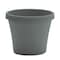 Bloem Terra 3.75 in. H X 4.25 in. W X 3 in. D Plastic Traditional Planter Basil TR0441 - alternate 1