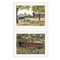 Homeroots Set Of Two The Spring House 1 White Framed Print Wall Art, 2PK 406168 - alternate 1