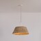 Troy Lighting Sequoia 1 Light Pendant, Textured Bronze, 23.75 In x 18.25 In F2824-TBZH - alternate 2