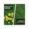 Greenview Lawn Fertilizer Fairway Formula Weed & Crabgrass For All Grasses 5000 sq ft 21-29172 - alternate 9