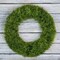 Pure Garden Front Door Wreath and Storage Bag 20 in Artificial Foxtail Fern Wreath and Zippered Tote 50-111BR - alternate 2