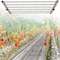 J&H Led 44 in. 2000-Watt Equivalent Gray LED Full Spectrum Indoor Plant Grow Light 3700K Warm White JH-GL800W-D-82F - alternate 6