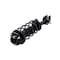 Fcs Struts Suspension Strut And Coil Spring Assembly 1335604R - alternate 3