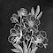 Homeroots Set Of Two Black and White Flowers in Bloom White Framed Print Wall Art, 2PK 407966 - alternate 4
