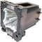 Ereplacements Lamp For Sanyo, POA-LMP124-OEM POA-LMP124-OEM - alternate 1
