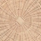 Bali & Pari Natala Natural Rattan End Table 268-14646-ZORO - alternate 3