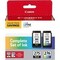 Canon PG275CL276VP Original Inkjet Ink Cartridge, Multicolor, 5.6 mL Black, 6.2 mL Color, 12PK 4988C005 - alternate 2