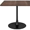 Homeroots 35" Square Steel Pedestal Base Dining Table 386248 - alternate 5