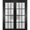 Sartodoors Sliding Closet 12 Lites Bypass Doors, Felicia 3312, Sturdy Rails Moldings Trims Hardware Set, Woo FELICIA3312DBD-BLK-6084 - alternate 1