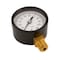Water Source Pool Pressure Gauge, 1/4 in Connection, Steel Gauge Case, 100 psi M1002-4L - alternate 3