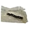 John Deere LINK CHAIN NO 50 ROLLER, JOHN DEERE OEM AP6095H AP6095H - alternate 1