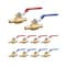 Vevor PEX Ball Valve 10 Pieces 1/2 in PEX Brass Ball Valve Full Port Brass Ball Valve, 10PK QF-11 - alternate 1