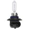 Peak Power Vision Halogen Forward Lighting Automotive Bulb 9005 9005PV-2BPP - alternate 5