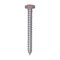 Auveco 8 x 1 1/2in Tan Painted Square Drive Pan Head Tapping Screw, 100PK 25377 - alternate 1