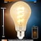 Homevenus Smart Edison Bulbs A67 E26 6W Dimmable Tunable Warm White 2100-5000K APP Control, 2PK SY-TF2CA67-02 - alternate 4