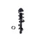 Fcs Struts Suspension Strut And Coil Spring Assembly 1337127L - alternate 4