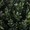 Pure Garden Artificial Tree 5FT Faux Hedyotis Topiary Ball Plant in Weighted Pot Fake Plants for IndoorDisplay 50-10007 - alternate 3