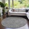 Homeroots 8' Gray And Silver Round Southwestern Washable Indoor Outdoor Area Rug 587052 - alternate 5