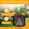 Healsmart Simple Deluxe Grow Bags 5 Gallon Planter Pots with Handles, Thickened Nonwoven Fabric, Black, 10PK GLGROWBAG5X5BLKV3X2 - alternate 3