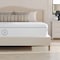 Martha Stewart SleepComplete 12 Inch King Medium Dual-Action Cooling Gel and Green Tea Memory Foam Mattress CL-MODD-12K-MS - alternate 3
