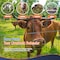 Edendirect 4 ft. x 165 ft. 10-Gauge Galvanized Livestock Fence, Cattle Fence Panels, Pig Fence Panels ED-X0043YSH7X - alternate 4