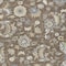 Homeroots 5' X 8' Chocolate Beige And Blue Floral Washable Indoor Outdoor Area Rug 597807 - alternate 3