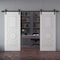 Sartodoors Double Barn Door 72x96 inches White Solid Core Modern Interior ROYAL9855DB-B-EMAL-7296 - alternate 1